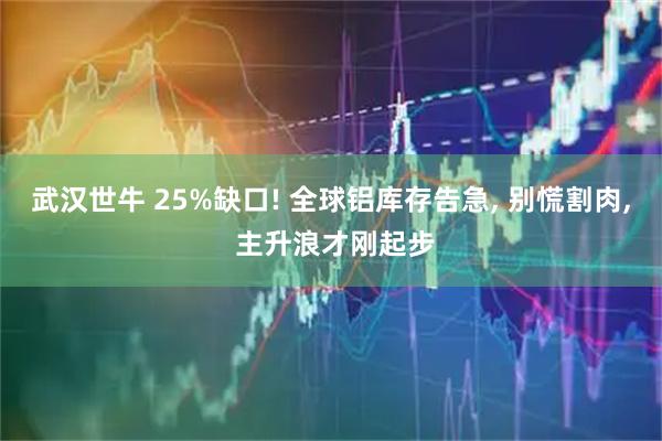 武汉世牛 25%缺口! 全球铝库存告急, 别慌割肉, 主升浪才刚起步
